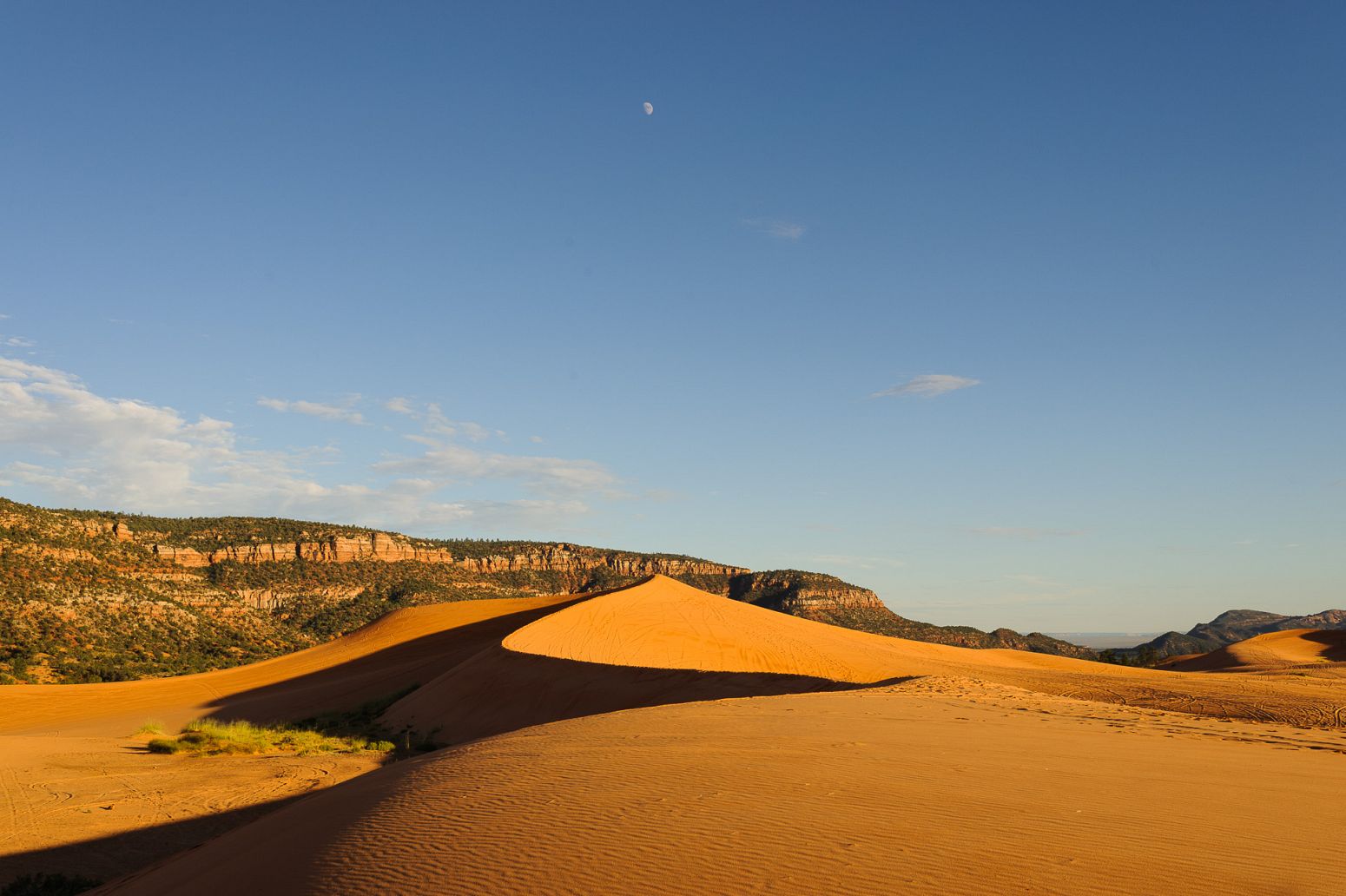 Coral Pink Sand Dunes SP, Kanab, Utah, USA